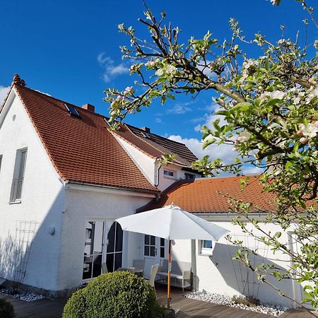 Ferienhaus Rosengarten Villa Зелб Екстериор снимка