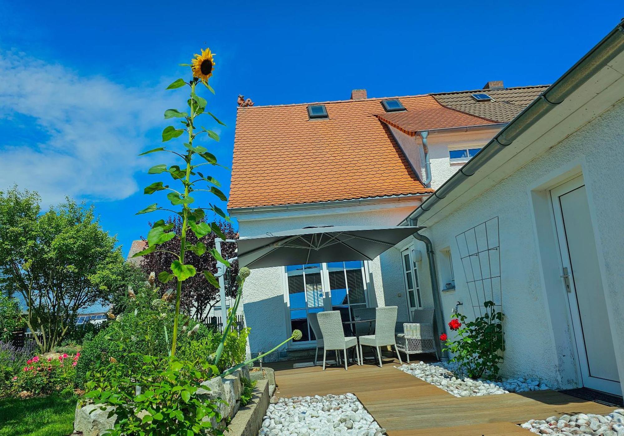 Ferienhaus Rosengarten Villa Зелб Екстериор снимка
